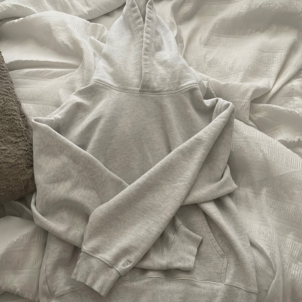 Aritzia Perfect Cozy Hoodie